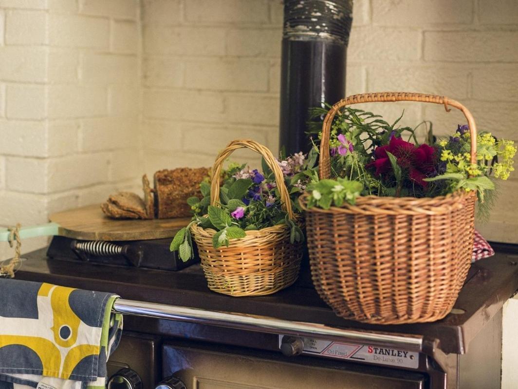Clonalis House - Guesthouse Castlerea Bagian luar foto