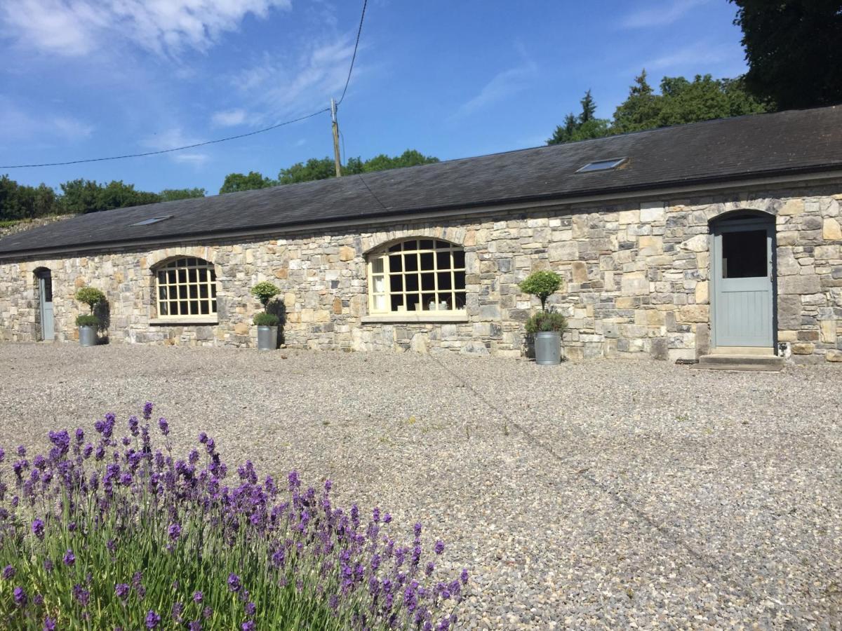 Clonalis House - Guesthouse Castlerea Bagian luar foto